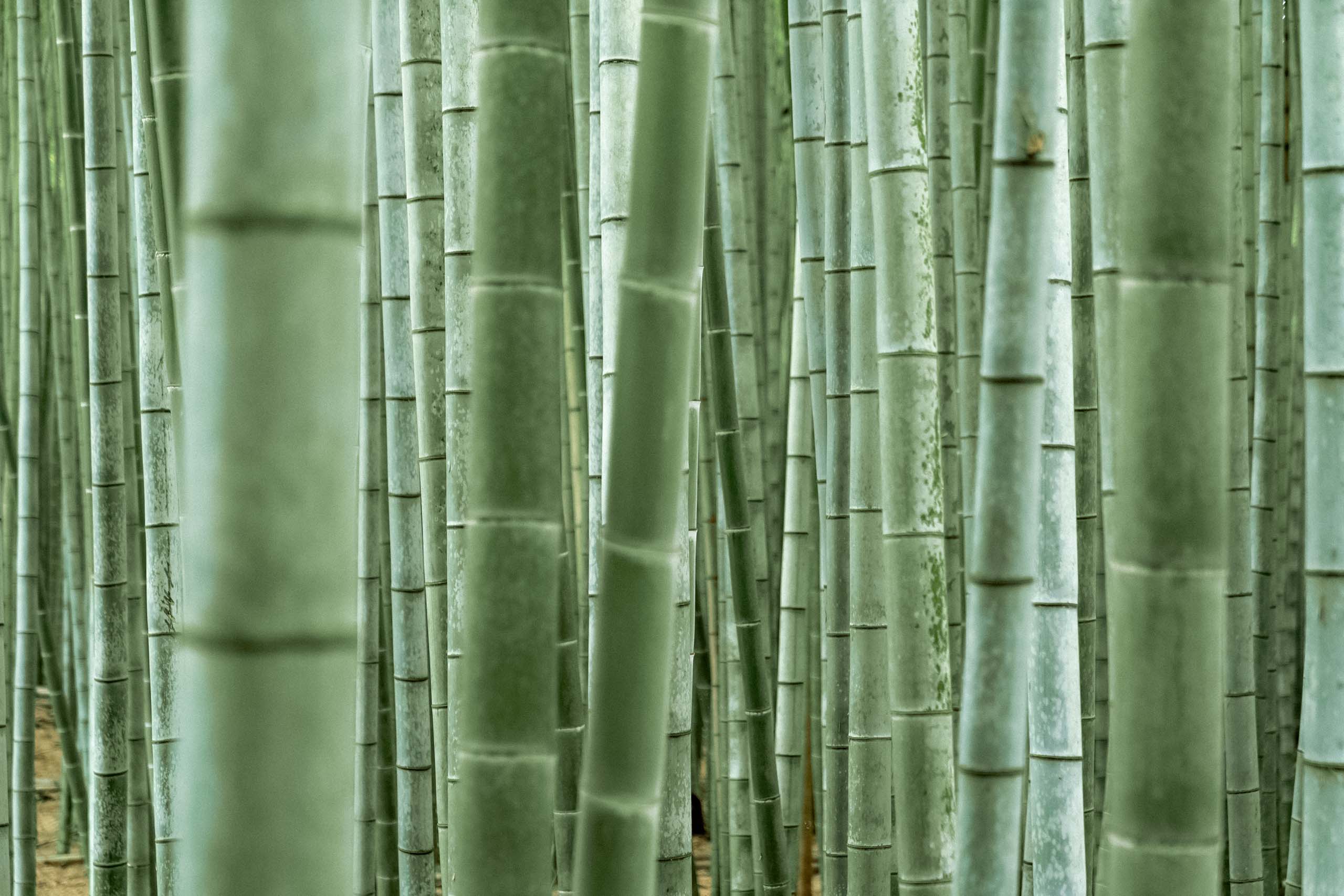 Bambus - Abonera Premium sokker av Bambus materiale